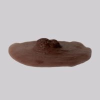 self-adhesive nipples (mtf)