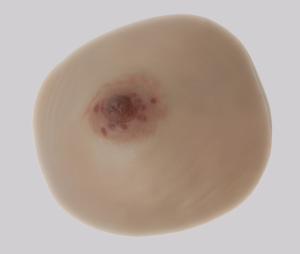 triangle breast prosthesis - Image 2